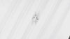 2ct LOZENGE SHAPE LAB CREATED DIAMOND IGI CERTIFIED E VS1 GEOMETRIC KITE LOOSE